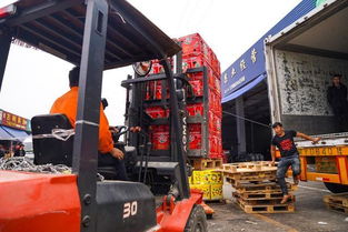 海峽兩岸攜手，滯銷水果變暢銷——物流城倉(cāng)儲(chǔ)服務(wù)助力臺(tái)農(nóng)脫困